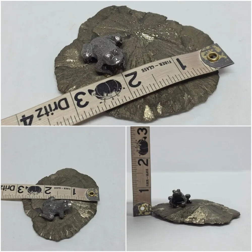 Frog On Pyrite Sun Shiny Miner’s Dollar Fools Gold Illinois Gift Paperweight
